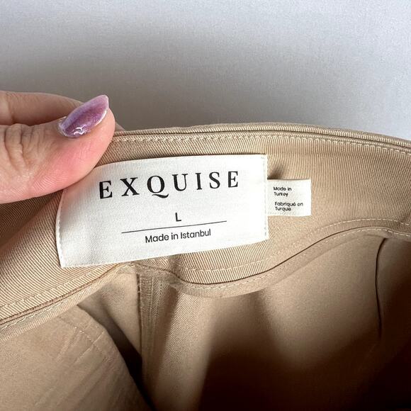 Anthropologie‎ Exquise Tan Pleated Trousers Neutral Minimalist Workweae size L - Picture 6 of 12